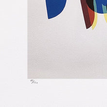 Load image into Gallery viewer, 1970s Original Gorgeous Man Ray "Shadows" Limited Edition Lithograph Madinteriorart by Maden