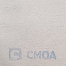 Load image into Gallery viewer, 1980s Gorgeous Andy Warhol "Marilyn" Limited Edition Lithograph by CMOA Madinteriorart by Maden