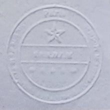 Load image into Gallery viewer, 1970s Original Gorgeous František Kupka Limited Edition Lithograph Madinteriorart by Maden