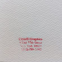 Load image into Gallery viewer, 1980s Original Stunning Roy Lichtenstein "Salute To Aviation Corlett 63" Limited Edition Lithograph Madinteriorart by Maden