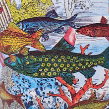 Load image into Gallery viewer, 1990s Gorgeous "Aquarium" Floor Lamp by Piero Fornasetti for Antonangeli Madinteriorart by Maden