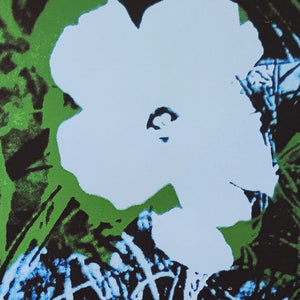 1980s Gorgeous Andy Warhol "Flowers" Limited Edition Lithograph Madinteriorart by Maden